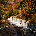 Looking Through Autumn Trees on To Waterfalls fine art prints as gift for the Holidays 