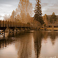 Scenic Golden Wooden Bridge Tree Reflection on The Deschutes River