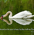 Swan Heart Bible Verse Greeting Card Original Fine Art Photograph Print as a Gift